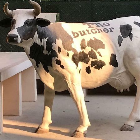 The Butcher-Ducati And Airport Blq Apartment Bologna Exterior photo